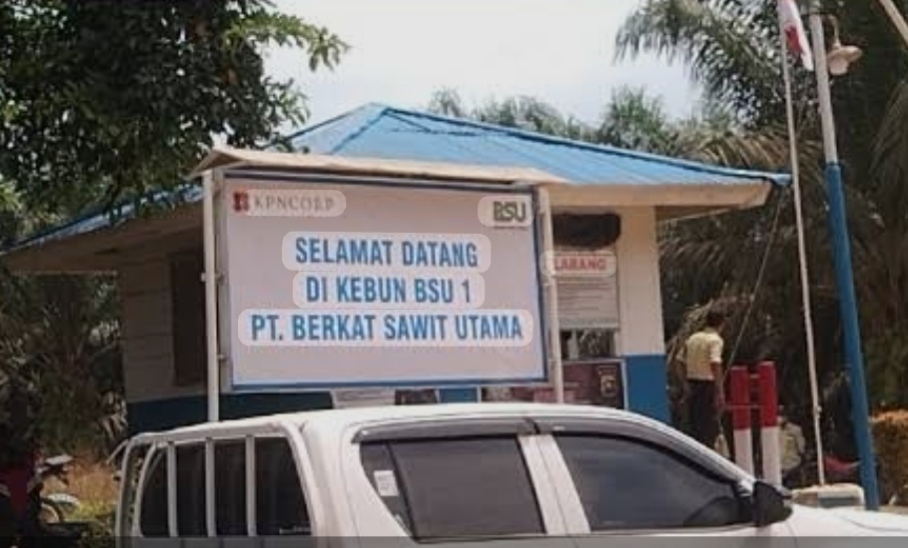 Klarifikasi Mahmud Irsyad: Sengketa Marga Kubu Lalan Depati Orik Tak Berkaitan dengan PHK Buruh PT BSU